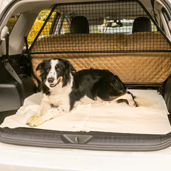 Hundehandtücher NATURELL