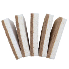 Schwamm auf Pflanzenbasis