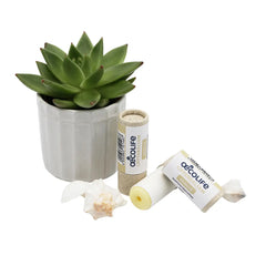 Lippenbalsam Vanille