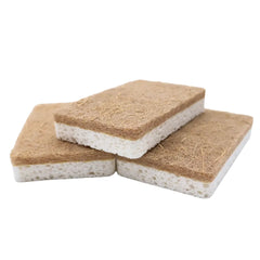 Schwamm auf Pflanzenbasis