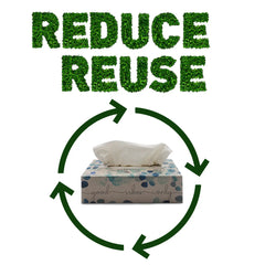 oecolife Taschentücher Content