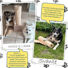 Hundehandtuch Anwendung mit Bewertung