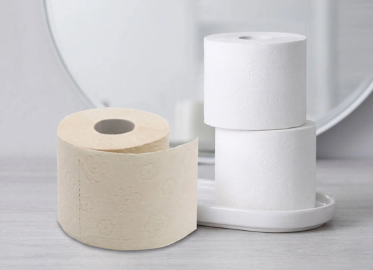 Welches Toilettenpapier ist nachhaltig?