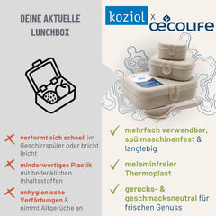 Koziol Lunchbox-Set mit To-Go-Besteck